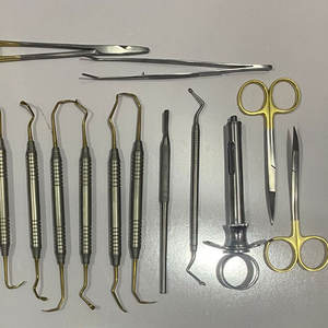 Turbina Odontologica Dental Manual Endodoncia Cirugía Oral Elevadores Juego de 13 piezas Implante Dental Instrumento Herramientas al por mayor - Product Image 3