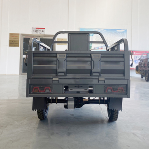 Grande puissance bon <span class=keywords><strong>prix</strong></span> tricycle cargo tricycle électrique <span class=keywords><strong>3</strong></span> <span class=keywords><strong>roues</strong></span> <span class=keywords><strong>moto</strong></span> tricycle à trois <span class=keywords><strong>roues</strong></span> durable cargo tricycle pour adultes - Product Image 5