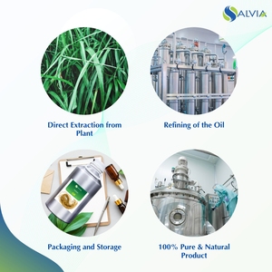 Huile de vétiver 100% pure et naturelle en gros emballage personnalisé au prix le plus bas en vrac - Product Image 4