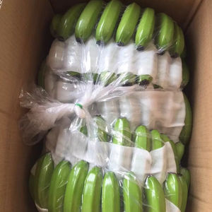 Bananes Fraîches de Qualité Export, Provenant de Fruits Tropicaux, pour le Commerce de Gros au Vietnam par 99 Gold Data - Product Image 1