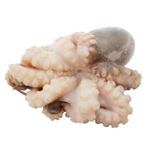 Bébé pieuvre nettoyé entier congelé Viande de pieuvre IQF Ingrédient congelé Fruits de mer Céphalopode en vrac Hotpot Restaurant Cooking France 2 - Product Image 2