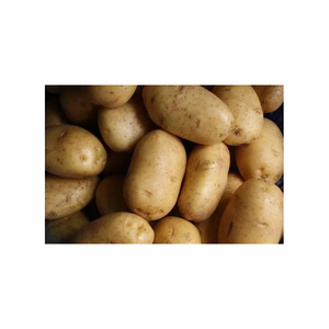 Small Scale Fully Automatic Frozen French Fries <b>Making</b> <b>Machine</b> Fresh Raw <b>Potato</b> Crispy <b>Chips</b> Production Line - Product Image 2