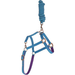 Néoprène rembourré cheval licou plomb corde ensemble Antique laiton matériel doux muserolle couronne chevaux poneys poulains Premium - Product Image 3