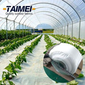 Nhà Kính phim nhựa trong suốt/Vàng chống <span class=keywords><strong>UV</strong></span> chống thả nhà Kính phim tấm nhựa phim - Product Image 4