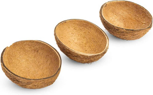 Tazón de Cáscara de Coco de Primera Calidad para Helado, Fruta y Uso en Restaurantes - Product Image 2