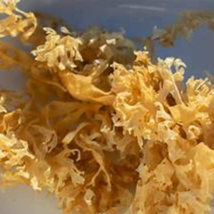 Mousse de mer séchée de haute qualité au meilleur prix avec emballage OEM du Vietnam - Product Image 1