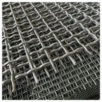 Maille plate en acier au manganèse 65Mn pour crible vibrant horizontal de concasseur de pierres, maille métallique résistante aux chocs