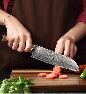 Venta al por mayor personalizado de alta calidad OEM ODM servicio profesional Damasco nuevo mango de resina roja Damasco acero cocina Chef cuchillo - Product Image 5