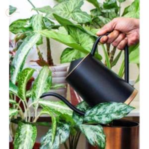 Arrosoir luxueux accrocheur avec arrosoir décoratif fait à la main de haute qualité pour le décor d'accessoires de jardin d'irrigation - Product Image 5