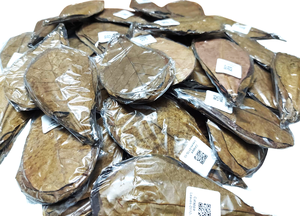 100% Feuilles d'amande Catappa indiennes écologiques 10cm Lot de 30 en plastique pour nettoyer les produits pour animaux de compagnie Betta Aquarium - Product Image 6