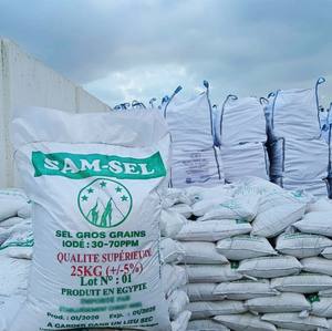 SAM SEL Sel de table raffiné iodé grossier solide 25 kg, qualité alimentaire, certifié ISO et HACCP, sel de mer Celtique en vrac en sac - Product Image 6
