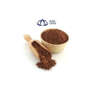 Poudre de Cacao du Vietnam au meilleur prix pour l'exportation - Product Image 1