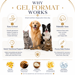 Série de gels pour animaux de compagnie en gros : Pâte énergétique hypercalorique, Soutien anti-boules de poils pour chats, Stimulateur immunitaire canin, Seringue doseuse personnalisée - Product Image 3