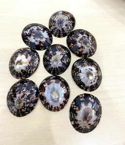 Conchas de Lapa decorativas para regalos hechos a mano y proyectos de colección de arte - Product Image 6