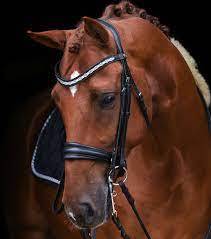 Headstall en cuir équestre le plus vendu pour les courses d'équitation au prix de gros de la bride en cuir de cheval - Product Image 5