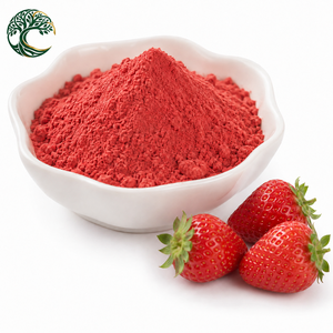 Muestra Gratuita, <span class=keywords><strong>Precio</strong></span> al por Mayor, Extracto Herbal de Fresa Liofilizada Natural de Grado Alimenticio, Polvo de Fruta en Tambor para <span class=keywords><strong>Batidos</strong></span> y Smoothies - Product Image 3