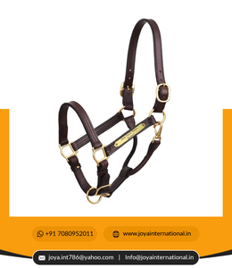 Fournisseur d'équipement d'équitation 1 "Xl Stallion Premium Leather Show Halter avec plaque signalétique pliable non pérenne - Product Image 6