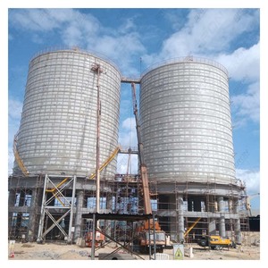 Silo in Acciaio Saldato per Carichi Pesanti SRON 1000-100.000T, Impianti Energetici Progettati su Misura, Terminali per Cemento, Stoccaggio Industriale di Massa, <span class=keywords><strong>1</strong></span> Anno - Product Image 6