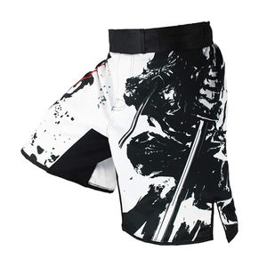 Shorts d'arts martiaux MMA imprimés par sublimation, extensibles, logo frontal, entraînement, boxe, grappling, taille adulte homme - Product Image 1
