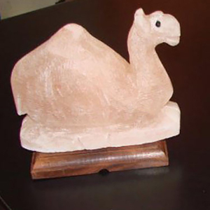 Lampe à sel en forme d'animaux de l'Himalaya Personnalisable Motifs en relief Artisanat naturel Décor à la maison - Product Image 4