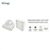Puce LED SMD RGB 5050 à faisceau étroit avec lentille dôme 5x5mm 45 degrés 60mA Diode d'affichage pixel