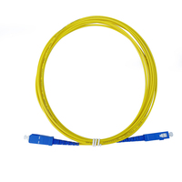 SC APC à SC APC 3 mètres G657A2 2.0mm PVC Long Boot Fiber Optic Patch Cord
