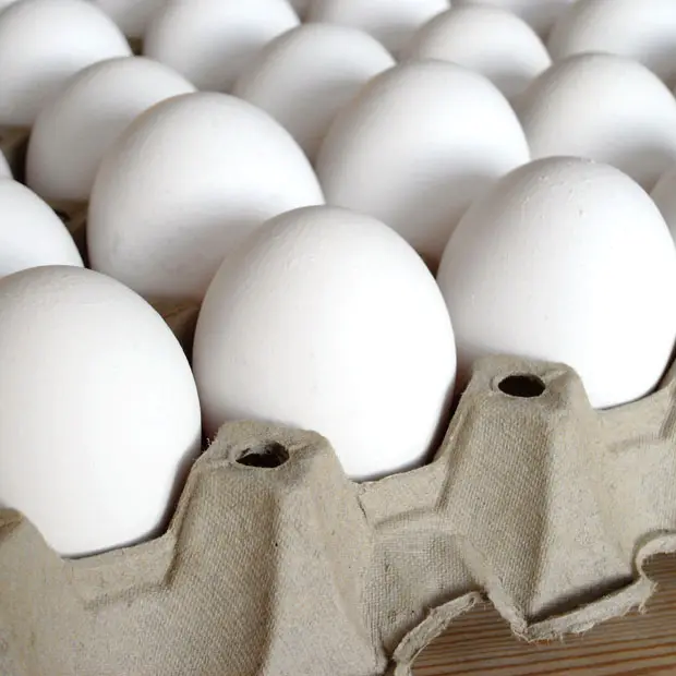 Œufs de poule/Œufs de table ronde à vendre/œufs à couver fertiles.