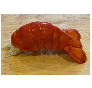 กุ้งมังกรแอฟริกาใต้แช่แข็ง สำหรับส่งออก ขายส่ง สำหรับโรงแรม ร้านอาหาร และผู้จัดจำหน่ายอาหารทะเล คุณภาพพรีเมียม - Product Image 3