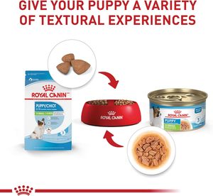 Royal Canin Size Health Nutrition X-Small Puppy Dog Food 3lb Tamaño DE LA BOLSA Rebanadas delgadas en salsa Comida húmeda para perros 3 oz lata (12 unidades) - Product Image 3