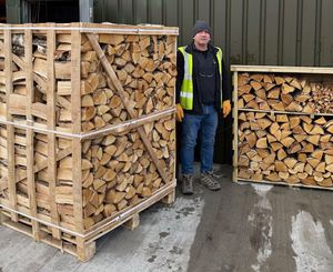 Hardwood Premium <b>Kiln</b> Dried Firewood / Oak wood and pine wood firewood <b>for</b> <b>sale</b> worldwide - Product Image 2