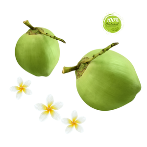 Refresque sus batidos con cocos jóvenes Ingrediente agrícola fresco - Product Image 4