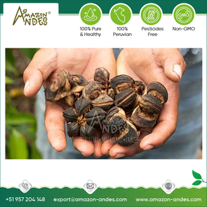 ผงซาชาอินจิบริสุทธิ์และออร์แกนิก100% โปรตีนแท้จากเปรูผู้ผลิตมืออาชีพของแท้คุณภาพสูง - Product Image 3