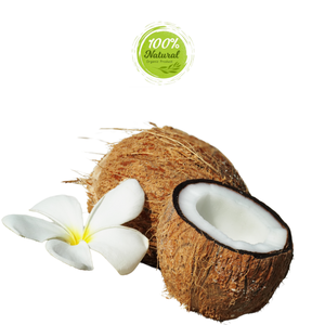 Coco seco para modelos económicos sostenibles en la agricultura - Product Image 4