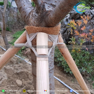 Bande de fibres naturelles en coco pour fixer les couvertures de sol et soutenir la croissance de la végétation dans les projets de reforestation - Product Image 2