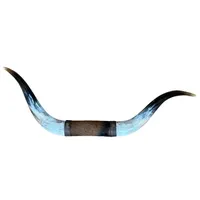 Grandes cornes Doble polies taureau longhorn monté taxidermie sud Art autochtone Cowboy pays bétail Ranch ferme mât qualité