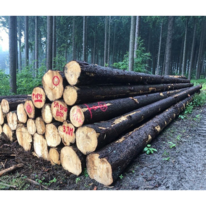 ไม้สนสไตล์ยุโรปสำหรับงานไม้ที่เหมาะสำหรับประตูหน้าต่างแม่พิมพ์และแผ่นติดผนัง - Product Image 4