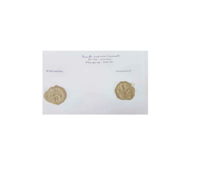 Boswellia serrata ผงสกัดจากกำยานธรรมชาติใช้ผสมสมุนไพรอาหารและความงาม - Product Image 2