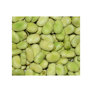 Habas en grandes cantidades disponibles a precios de descuento para empresas agrícolas y de alimentos