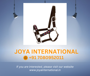 Licol équestre en cuir pliant Bling Holland Brown Cuir de cheval multifonctionnel Design intelligent - Product Image 2