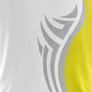 Ropa deportiva de equipo de práctica de Cricket Jersey hecha a medida de servicio OEM para ropa de Cricket en MOQ bajo - Product Image 6