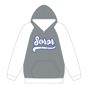 Sudadera con Capucha de Manga Raglán Gris Acero 20 Zeta Phi Beta Soror, Inspirada en los Fundadores de 1920, Hermandad Griega, Ropa Premium para la Mujer Superior - Product Image 5