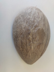 Cuenco de cáscara de coco ovalado semipulido, cuenco de 150ml ecológico Natural, biodegradable para uso en cocina, hogar y restaurante - Product Image 3