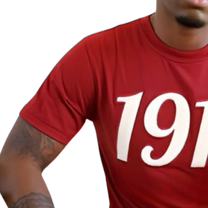 Chenille T-shirt Marron Coton KAP Grec Fraternité Vêtements Brodé Avant Collegiate Style Premium Casual Tee - Product Image 3