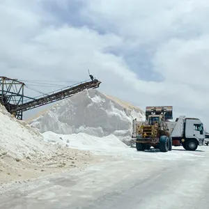 Sal para carreteras sal para deshielo cloruro sodico para pistas