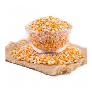 Maïs jaune séché non-OGM en gros, grains propres de qualité supérieure, pour l'alimentation humaine, les usines alimentaires, le mouture de maïs et l'alimentation animale - Product Image 5