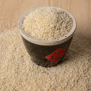 Graines de sésame blanches 100 % pures de qualité conventionnelle, pureté élevée 99,97 % pour la transformation alimentaire et la pâtisserie - Product Image 3