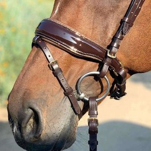 Brida ecuestre El charol marrón está acentuado por el acolchado y elevado con una tubería brillante de bronce en la banda de la nariz y la banda para la frente - Product Image 1