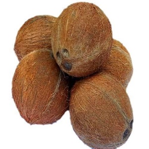 Noix de coco décortiquée bio-Entière, semi-décortiquée, ronde, brune, 550g | Fraîche naturelle, entièrement mûrie - Product Image 2
