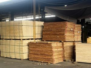 Cubierta de chapa de película de todos los grados de madera contrachapada para uso versátil para sala de estar dormitorio cocina taller almacén Villa comedor - Product Image 4