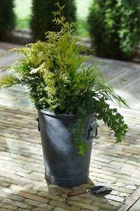 Jardinière galvanisée profonde, idéale pour la culture d'herbes, de laitues et de fleurs avec un espace de sol adéquat - Product Image 4